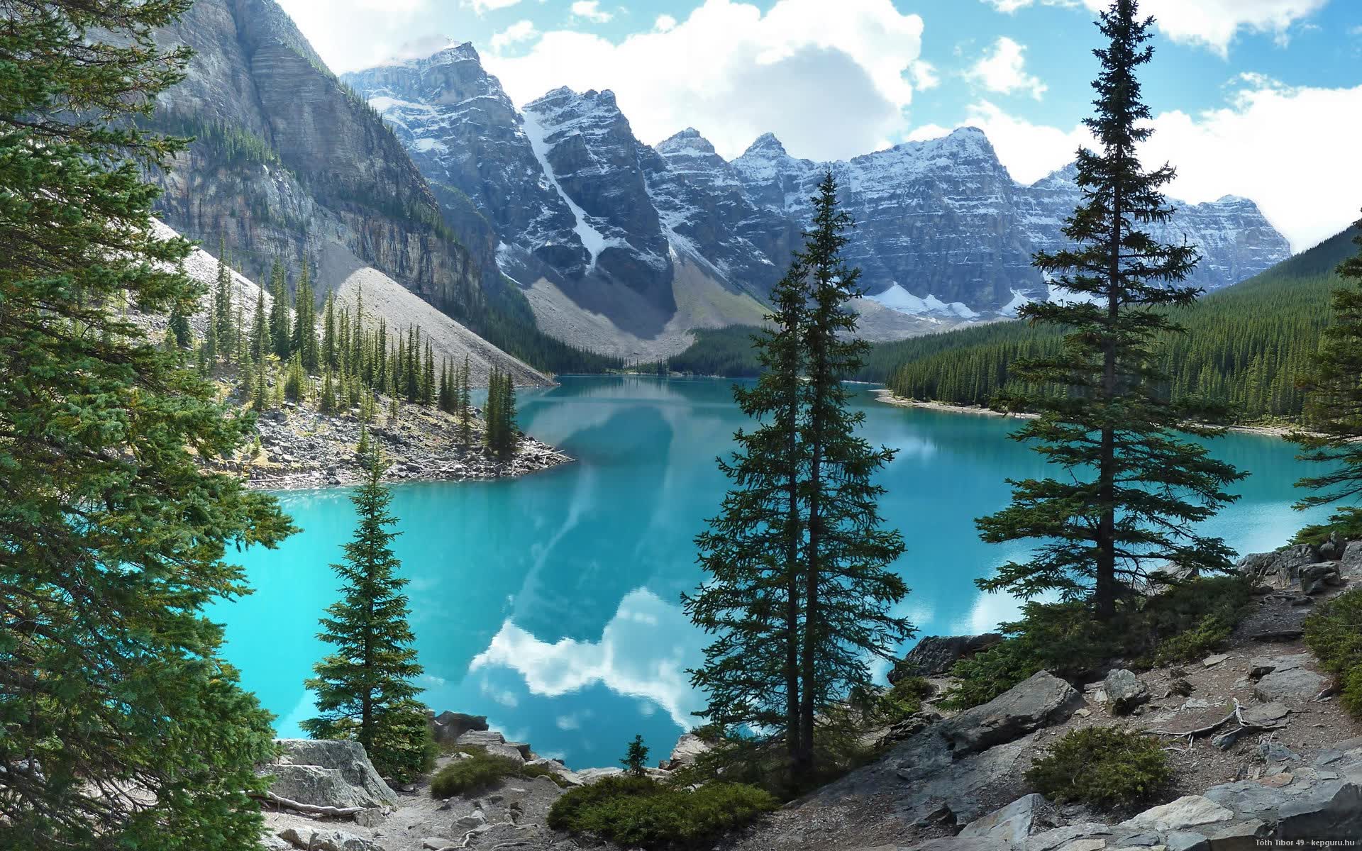 世界短道速滑青年赛赛道维护机器人使用手册第二版发布，2020-2021短道速滑赛
